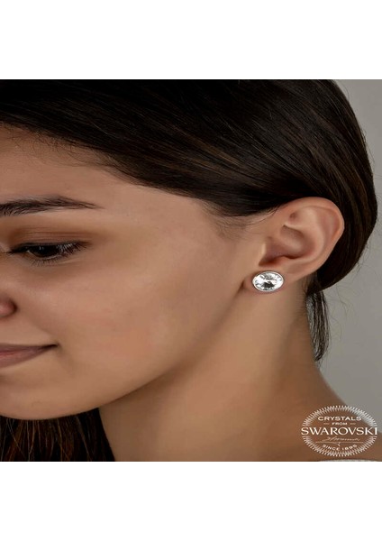 Swarovski Crystal Taşlı Gümüş Çivili Kadın Küpe fiyatları