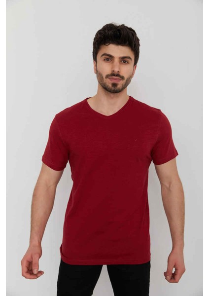 4601 Erkek Orta V Flamlı T-Shırt