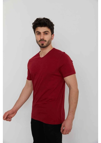 4601 Erkek Orta V Flamlı T-Shırt fiyatları