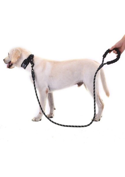 Süslüpati Reflektörlü Köpek Tasması 130 cm