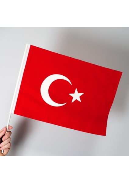 Türk Bayrağı 20X30 cm Alpaka Kumaş - Sopalı-5 Adet