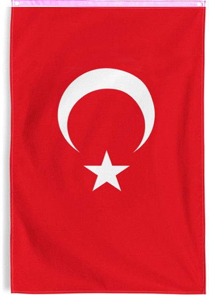 Türk Bayrağı 200X300 cm Alpaka Kumaş - 10 Adet