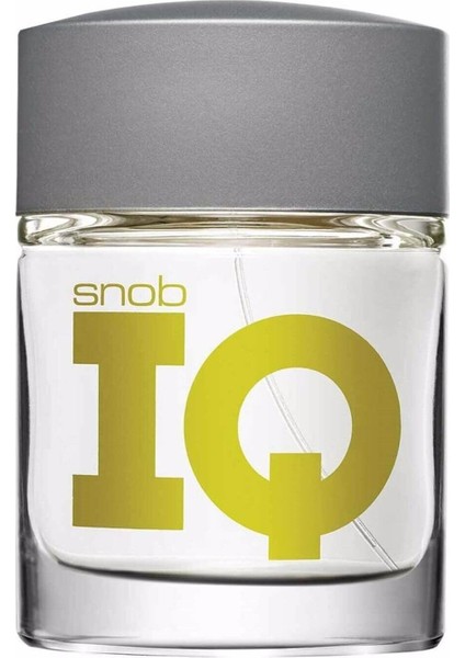 Men Iq Edt 100 ml Erkek Parfümü BZSTRZ1004118