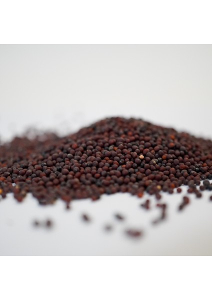 Doğal Şalgam Tohumu 200 gr fiyatları