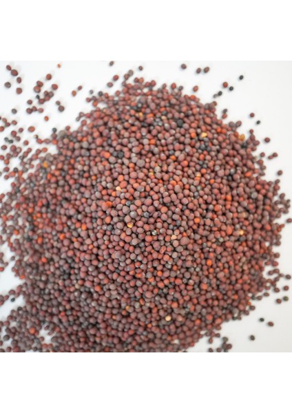 Doğal Şalgam Tohumu 200 gr modelleri