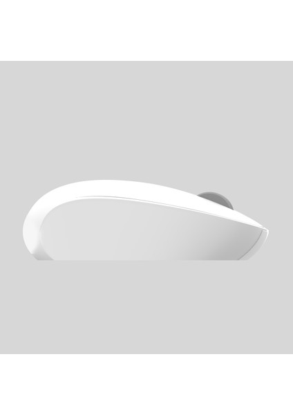 Wireless Mouse IWM-241 RB Candy Desing