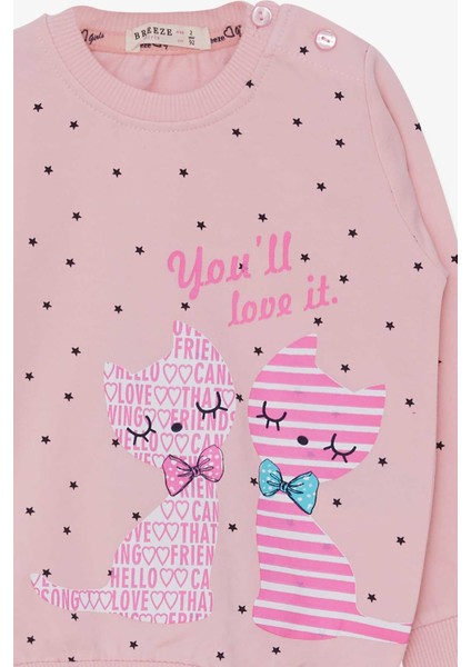 Kız Çocuk Sweatshirt Kedicik Baskılı 2-6 Yaş, Pudra modelleri