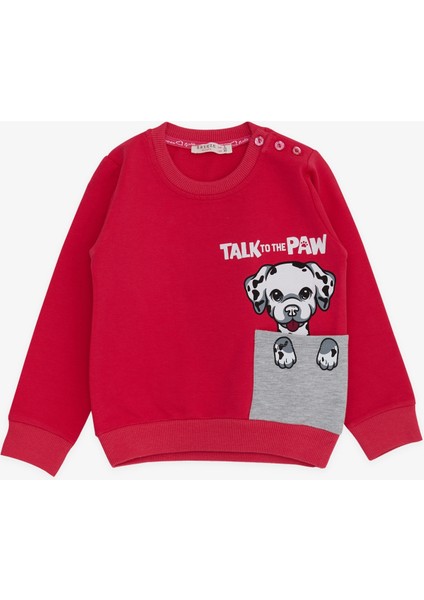 Kız Çocuk Sweatshirt Köpek Baskılı 2-6 Yaş, Fuşya
