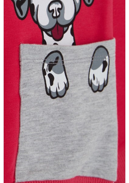 Kız Çocuk Sweatshirt Köpek Baskılı 2-6 Yaş, Fuşya