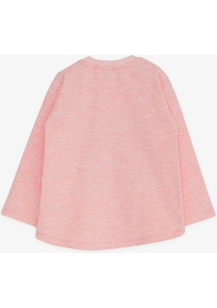 Kız Çocuk Uzun Kollu Tişört Unicorn Baskılı 1.5-5 Yaş, Somon Melanj fiyatları