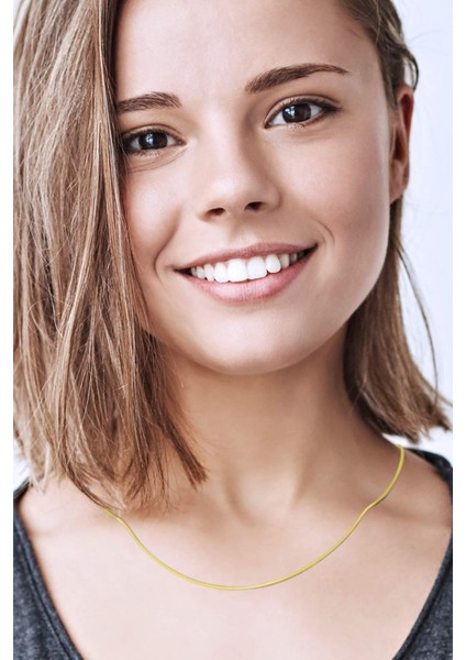 925 Ayar Gümüş Italyan Yassı Yılan Gold Renk Zincir Kolye fiyatları