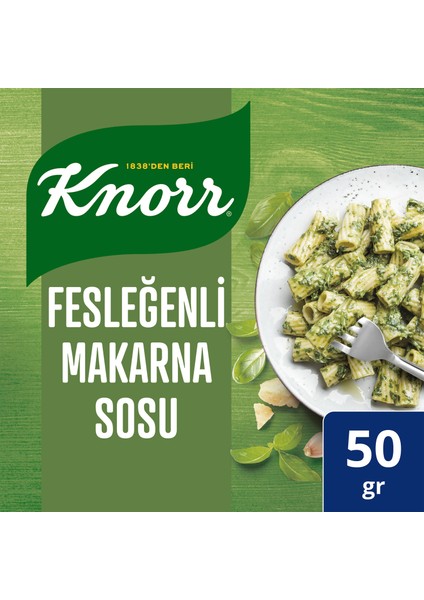 KNORR FESLEĞENLİ MAKARNA SOSU 50G