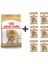 Poodle Adult Köpek Maması 3 kg + 6 Adet Yaş Mama 1