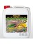 Oto Parfüm Mango 5kg 1