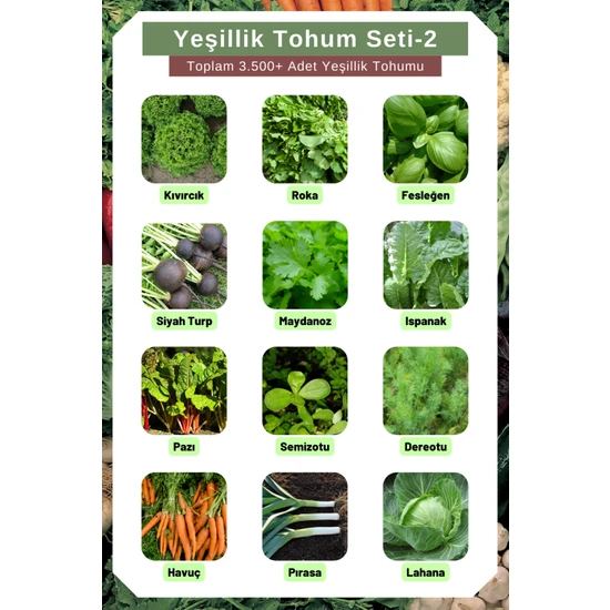 Yeşillik Tohum Seti-2 Toplam 3.500+ Adet Yeşillik Tohumu 12 Çeşit Yeşillik Tohumu Yeşillik Tohum Seti-2 Toplam 3.500+ Adet Yeşillik Tohumu 12 Çeşit Yeşillik Tohumu