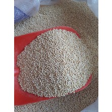 MH Muhabbet Kuş Yemi Ak Darı Beyaz Sade (2 Kg)