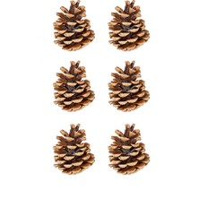 Partijet Yılbaşı Çam Ağcı Süsü Kozalak 6 cm 6'lı