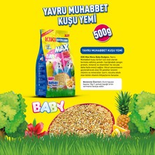 Kıkı Excellent Kuş Max Menu Baby Budgies Yavru Muhabbet Kuşu Yemi 500 Gr. KB303