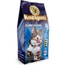 Koca Pati Eco Seri 15 kg Yetişkin Köpek Maması