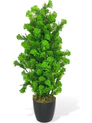 Nettenevime Yapay Çiçek Siyah Saksıda Yeşil Tohumlu Ponpon Selvi Ağacı 55CM