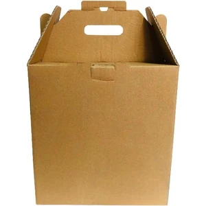 Koli Kolay 30X25X30 cm Erzak Kolisi 10 Adet
