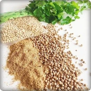Kişniş Tohumu (Aş Otu) 10 Gram