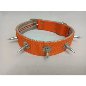 Çivili Süslü Köpek Tasması 70 X4 cm