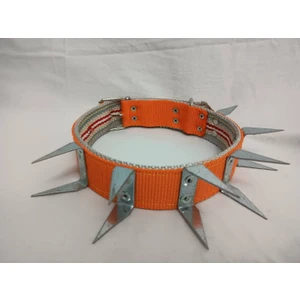 U Çivili Köpek Tasması 70 X4 cm