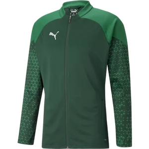 Teamcup Training Jacket Erkek Futbol Antrenman Ceketi 65798305 Yeşil