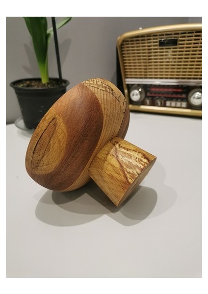 AYRAWOOD12 cm Mantar Ahşap Sunum