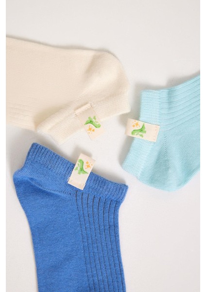 3'lü Paket Summer Love Erkek Çocuk Step Çorap