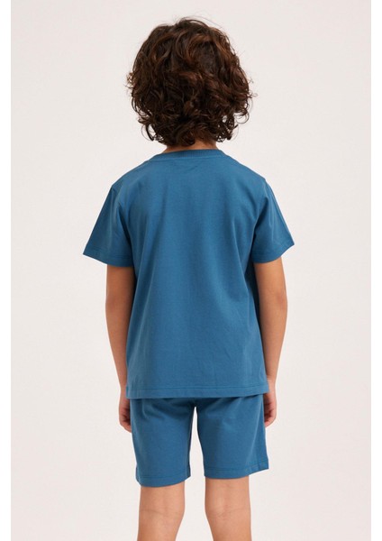 All Day Erkek Çocuk Pijama Üst Lacivert fiyatları