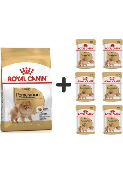 Pomeranian Yetişkin Köpek Maması 3kg + 6 Adet Yaş Mama
