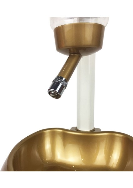 Kaldırılabilir Otomatik Içme Çeşmesi Pet Bowl Besleyici Malzemeleri (Altın) (Yurt Dışından) modelleri