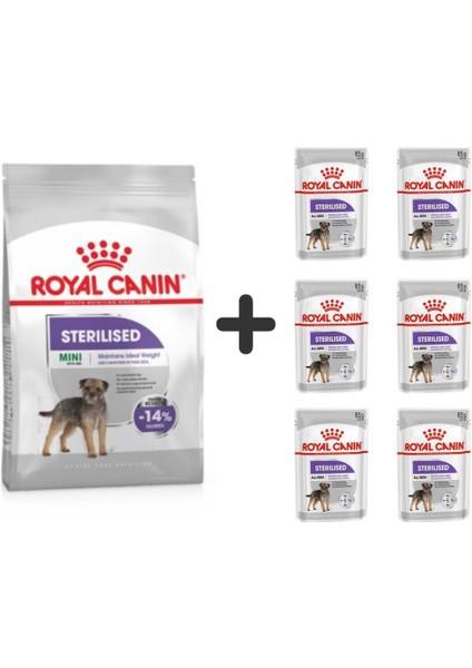 Mini Sterilised Kısır Köpek Maması 3 kg + 6 Adet Yaş Mama