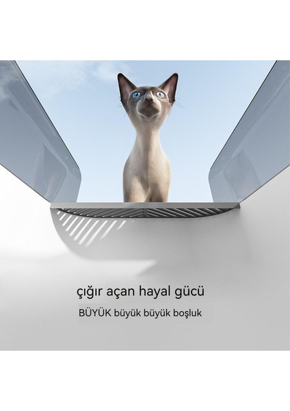 Kedi Malzemeleri Yarı Kapalı Kedi Tuvaleti Ekstra Büyük Kedi Tuvaleti (Yurt Dışından)