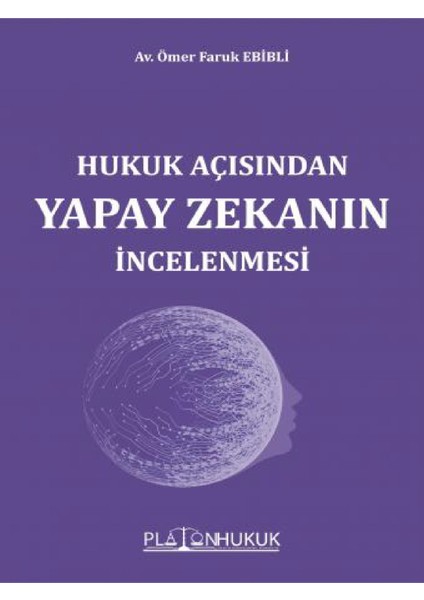 Hukuk Açısından Yapay Zekanın Incelenmesi