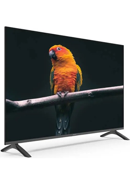 SN50FMN501 50" 127 Ekran Dahili Uydu Alıcılı 4K Ultra HD Smart LED TV