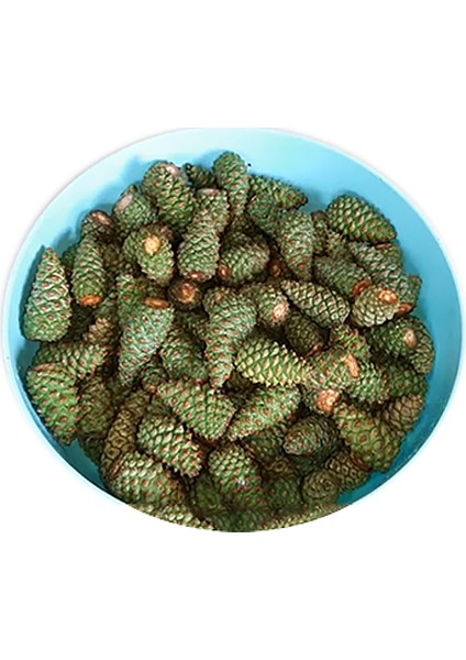Çam Kozalağı Pekmezi 430 gr fiyatları