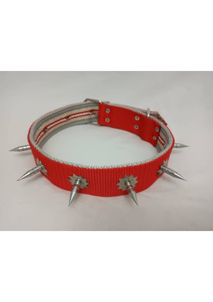 Çivili Süslü Köpek Tasması 70 X4 cm