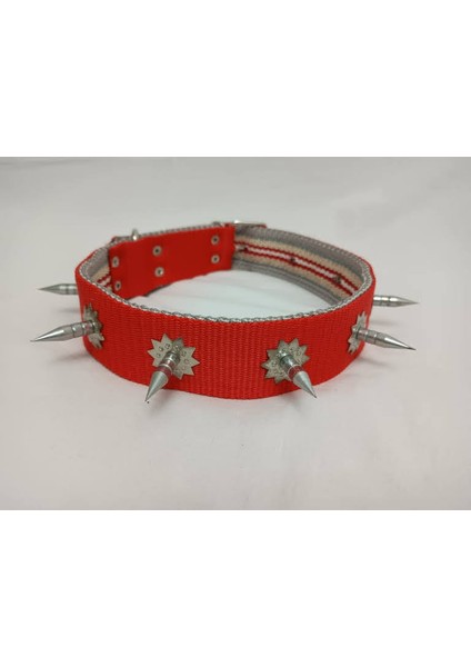 Çivili Süslü Köpek Tasması 70 X4 cm fiyatları