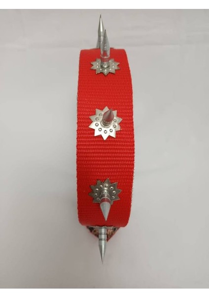 Çivili Süslü Köpek Tasması 70 X4 cm modelleri