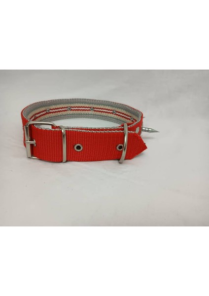 Çivili Süslü Köpek Tasması 70 X4 cm fırsatları