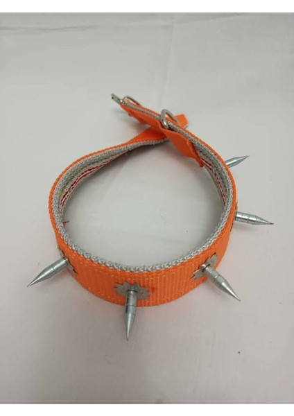 Süslü Çivili Köpek Tasması 70 X4 cm