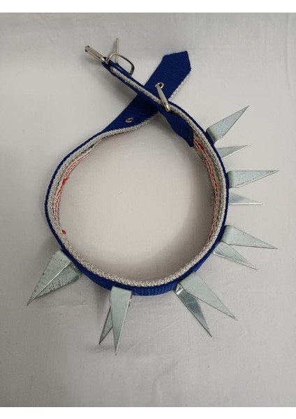 U Çivili Köpek Tasması 70 X4 cm fiyatları