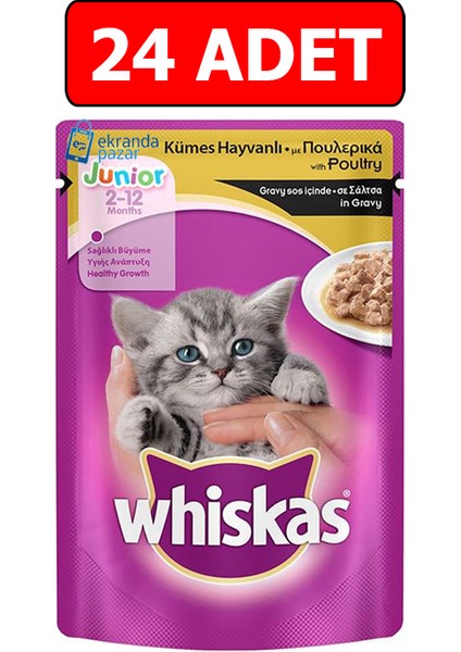 Junior Kümes Hayvanlı Yavru Kedi Yaş Maması 100GR 24 Adet Kedi Islak Mama Pouch Konserve