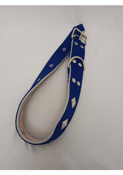 Süslü Köpek Tasması 70 X4 cm