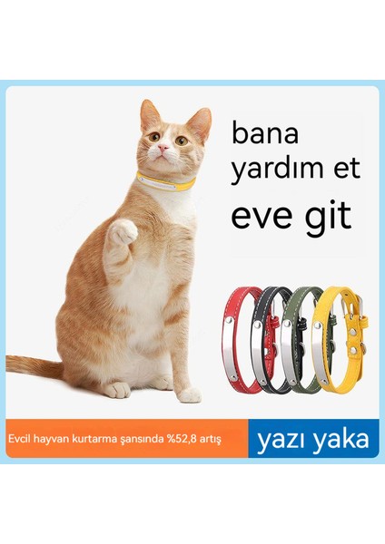 Kendinden Lazerli Gravür Zarif Tanımlama Işareti, Anti-Kayıp Çok Renkli Kedi Tasması (Yurt Dışından)