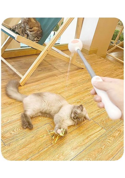 Geri Çekebilir Kedi Kaçak Oyuncak Laseri (Yurt Dışından) modelleri