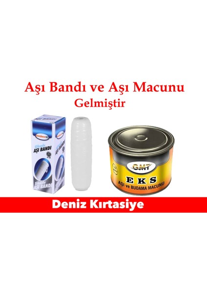 Aşı Bandı ve Macunu